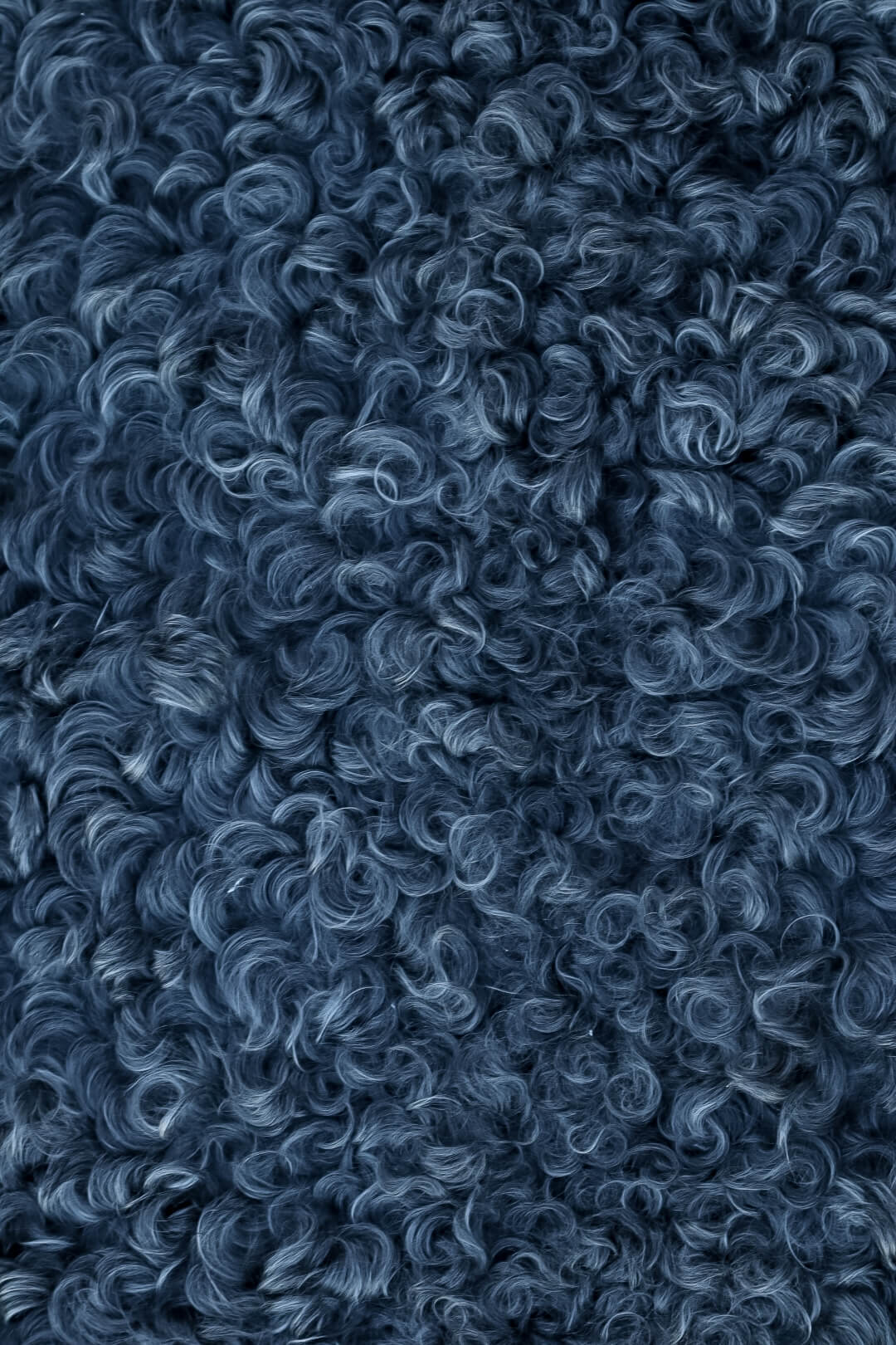 Komprimerad IMG_6775