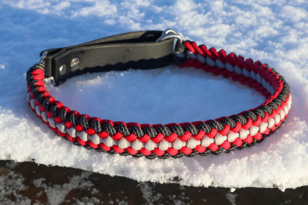 Hundhalsband Halvstryp Amber