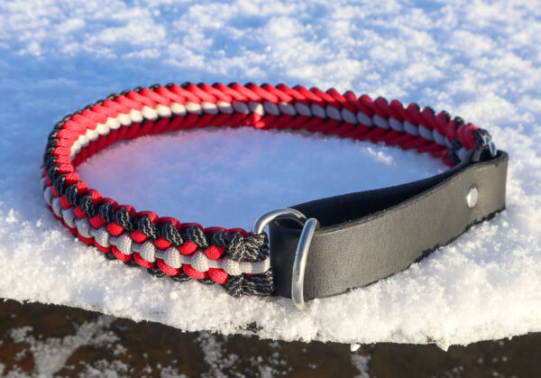 Hundhalsband Halvstryp Amber - Bild 2