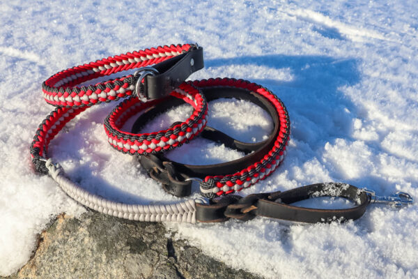 Hundhalsband Halvstryp Amber - Bild 4